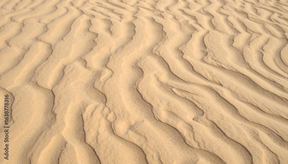 Fototapeta premium Sand dune patterns