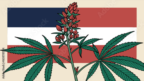 Cannabis sativa plant marijuana weed hemp pot with red flower buds and patriotic flag illustration art