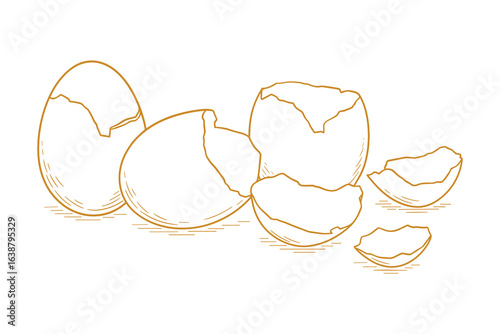 Cracked Eggshells Sketch, Food Ingredient Drawing in Brown Outline, White Background, Vector Illustration