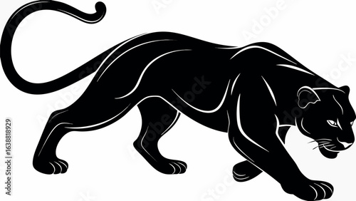 Illustration of a sleek black panther in a stalking pose with a curled tail on a white background artfully drawn silhouette
