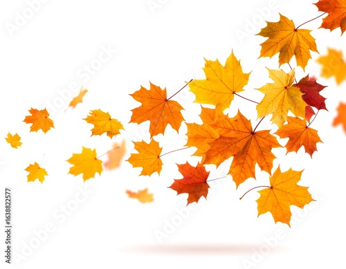 Autumn leaves swirling (3)