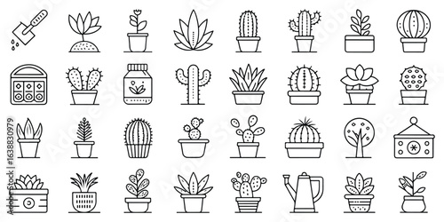 Line Art Illustrations of Succulents and Cacti for Gardening and Home Decor Projects Detailed Vector Graphic Set Minimalist Style Home Gardening Ideas