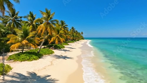 Tropical beach with palm trees and turquoise ocean under blue sky