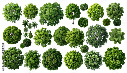 Vector set. Trees top view. Different plants and trees vector set for architectural