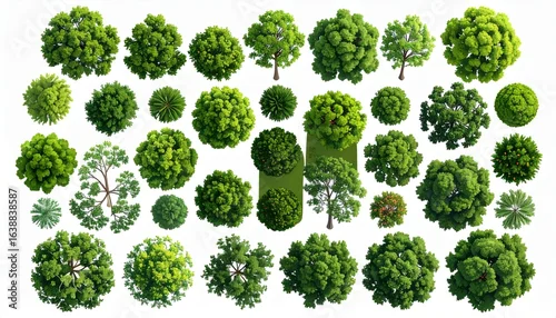 Obraz Vector set. Trees top view. Different plants and trees vector set for architectural