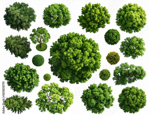 Vector set. Trees top view. Different plants and trees vector set for architectural