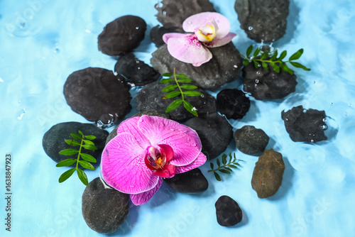 Pink orchid flowers and smo...