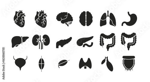 Collection of human organ silhouettes, showing various internal organs.