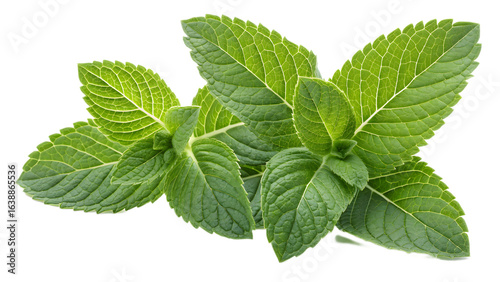 Fresh mint leaves PNG isolated, perfect for food and herbal designs.

