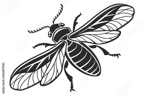 Firefly beetle sihouette black vector
