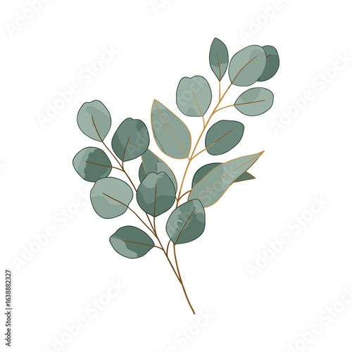 Minimalist green eucalyptus leaves on branch – stock vector flat illustration