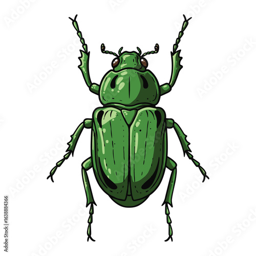 Detailed illustration of a green beetle – stock vector flat illustration