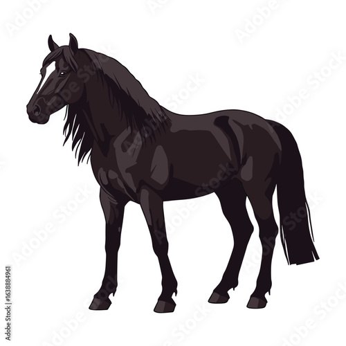 Black horse illustration: majestic equine with flowing mane – stock vector flat illustration