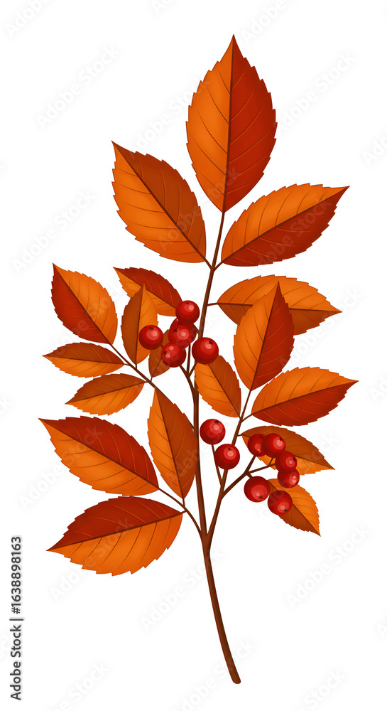 Realistic Illustration of Autumnal Branch With Red Berries and Orange Leaves Realistic Illustration of Autumnal Branch With Red Berries and Orange Leaves