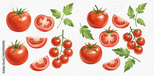 A detailed illustration set of fresh red tomatoes, including whole fruit, slices, wedges, and cherry tomatoes on the vine with leaves.