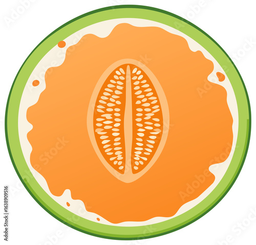 Melon Slice Cartoon Illustration Round Fruit Cross Section with Seeds and Green Peel