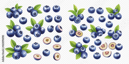 An illustrative set of ripe blueberries, including whole berries, halves, and clusters with green leaves on a transparent background.