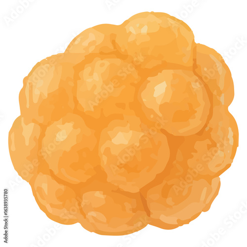 Realistic Cloudberry Illustration – Fresh Juicy Orange Berry Botanical Artwork