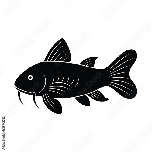  simple vector silhouette of a corydoras catfish .eps