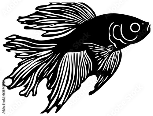 Silhouette of a Lone Guppy Fish Fluttering in Shallow Waters