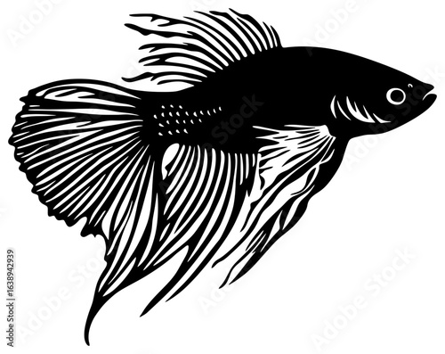 Silhouette of a Lone Guppy Fish Fluttering in Shallow Waters