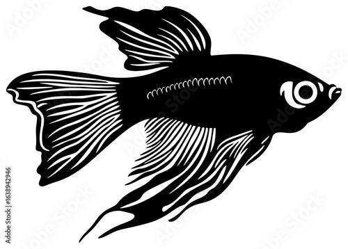 Silhouette of a Lone Guppy Fish Fluttering in Shallow Waters