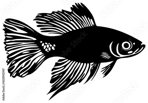 Silhouette of a Lone Guppy Fish Fluttering in Shallow Waters