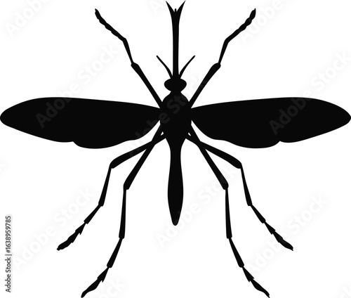 Black silhouette of a mosquito with spread wings and long legs insect white