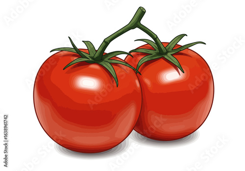 Two Fresh Red Tomatoes on the Vine Illustration.
