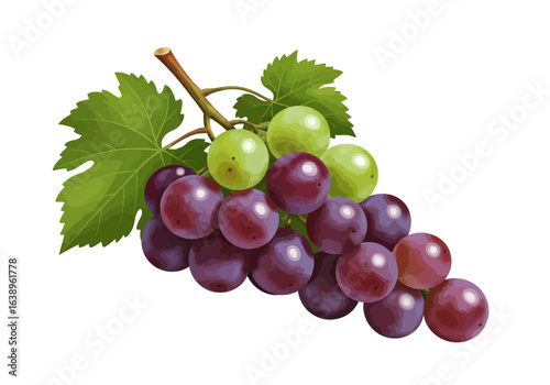 Bunch of Grapes with Green Leaves and Stem.