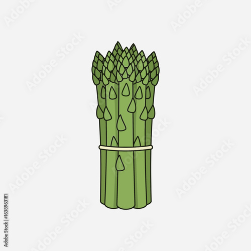 Bunch of green asparagus tied with a string on a white background.