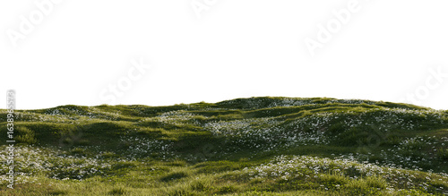 Hills with grass on a transparent background. 3D rendering.	
