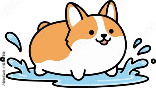 Corgi Splashing in a Puddle - Happy Dog