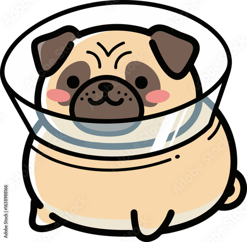 Happy Pug in a Cone of Shame - Funny Dog