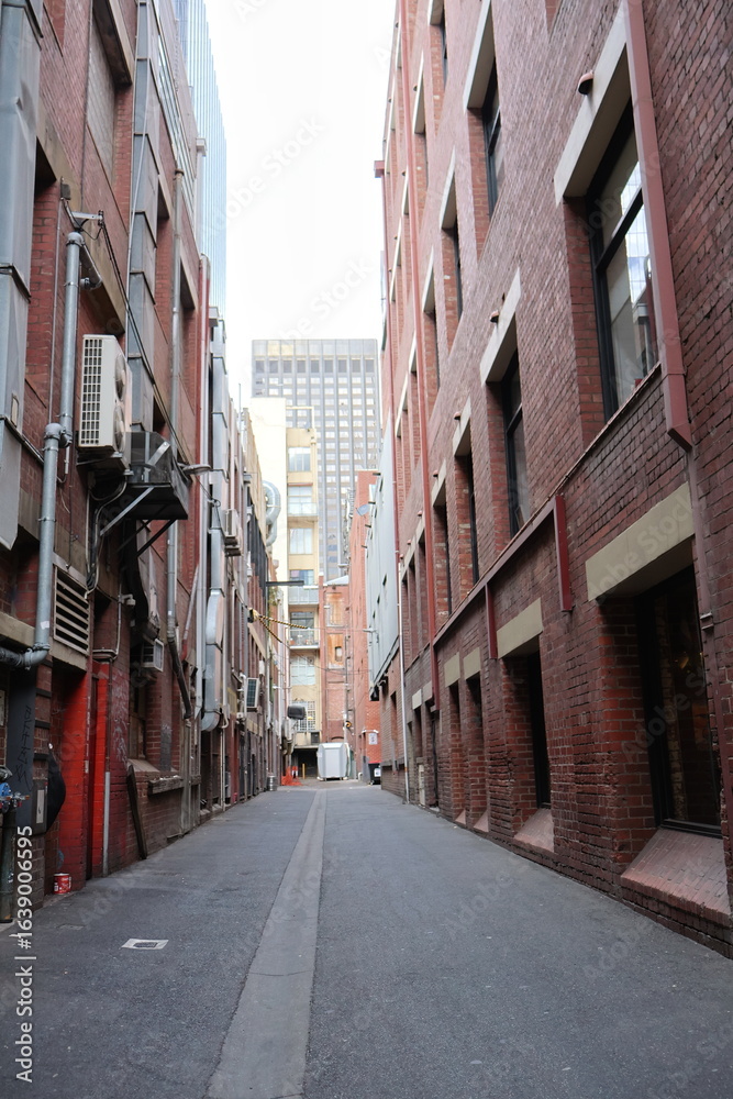 Fototapeta premium Melbourne laneway