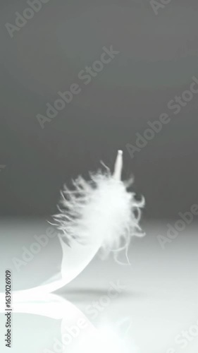 A single, pristine pure white feather, meticulously detailed, drifts gracefully in ultra-slow motion, settling softly on a luminous white surface with subtle bokeh. Concept of profound serenity and