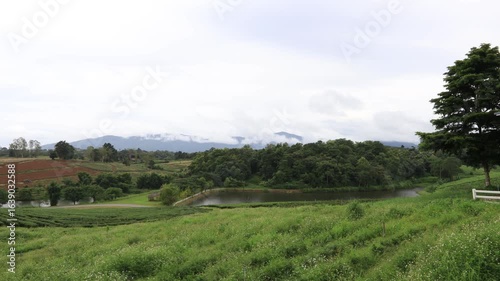 Wallpaper Mural Close-up nature video of the atmosphere surrounded by mountains, grasslands, mist from rain and heat that causes fog to cover the area. The joy of traveling and experiencing nature. Torontodigital.ca