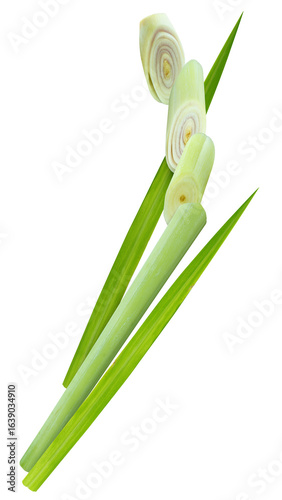 Fresh lemongrass stalks with green leaves rest beside sliced pieces, revealing pale rings. Their citrusy aroma and vibrant hue are staples in Southeast Asian cuisine and remedies.