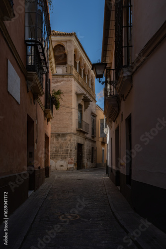 Sevilla, España. 1 de julio de 2025. Las amplias calles arboladas cerca del centro histórico de Sevilla, España,