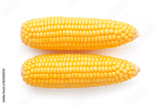 Two bright yellow corn cobs on white kernels food