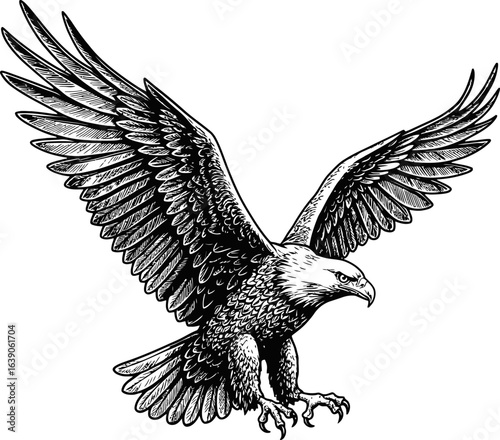 Black And White Illustration Of Eagle In Flight With Spread Wings Detailing Feathers