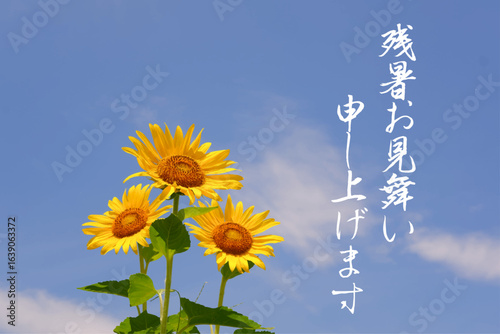 残暑お見舞い申し上げます - いかにも夏らしいヒマワリと青空の風景を背景に、「残暑お見舞い申し上げます」の文字の、時候のあいさつ
