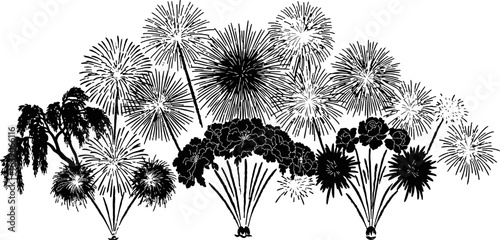 Ink Drawing Of Assorted Foliage Depicting Various Trees And Textures