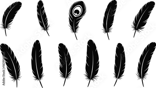 Black feather silhouettes, twelve feather icons, unique feather shapes, peacock feather detail, decorative feather set, abstract feather design, isolated vector feathers