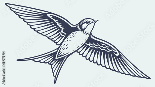 Swallow bird mid-flight with extended wings on a clear background	