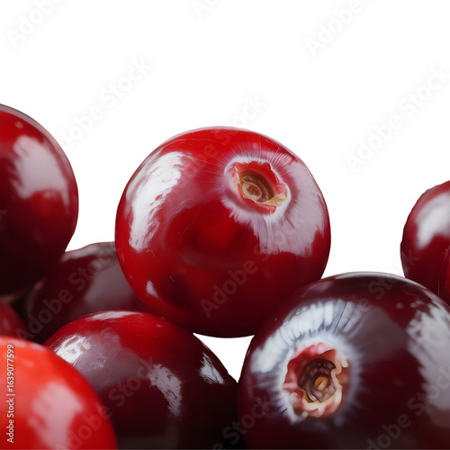 Fresh cranberries, vibrant red fruits, perfect for holiday recipes