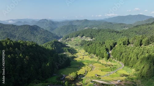 四谷千枚田の早朝の景色