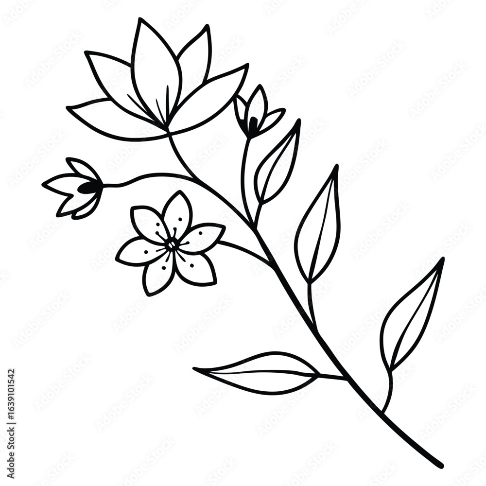 Obraz premium Simple Line Drawing of a Delicate Flower Branch.