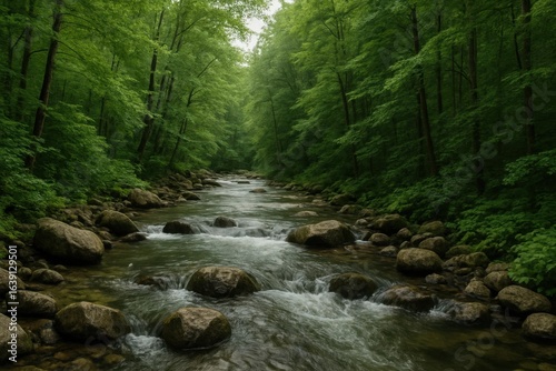 A Serene Stream Flows Through a Lush Forest