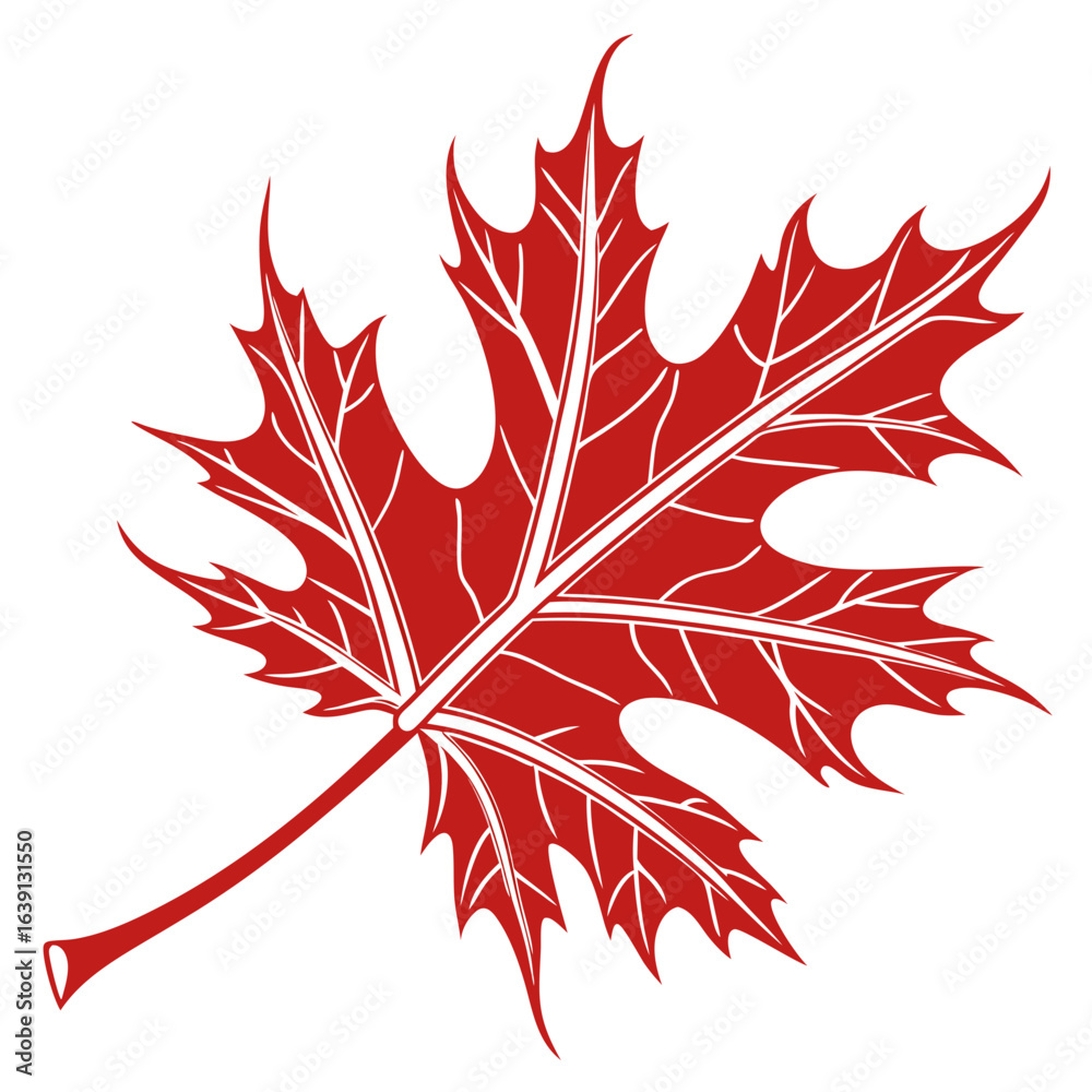 Fototapeta premium Stylized red maple leaf with detailed veins on a white background
